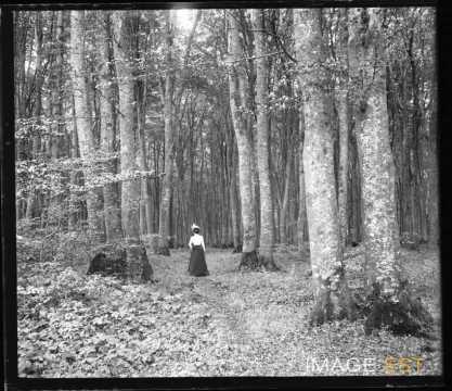 Femme dans une forêt (Varangeville-sur-Mer)